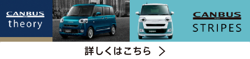CANBUS theory CANBUS STRIPES